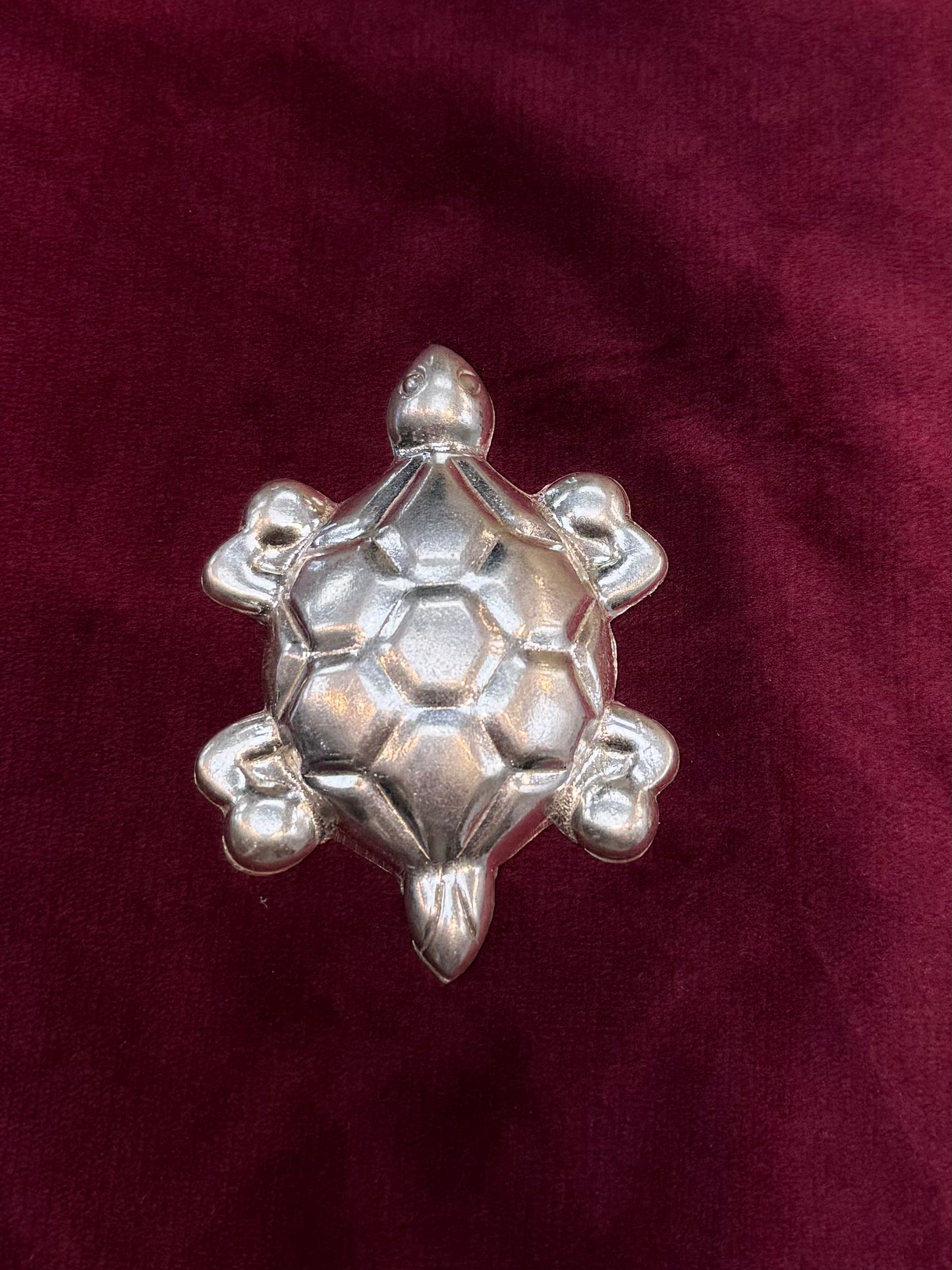 PURE SILVET TURTLE PI036