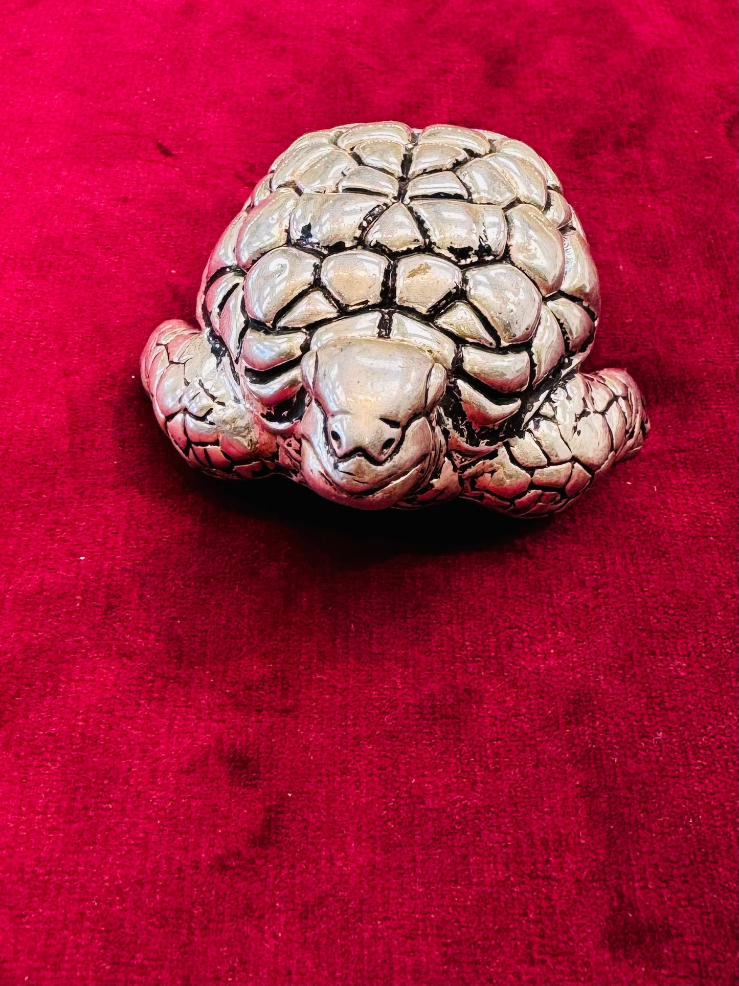 PURE SILVER TURTLE PI062