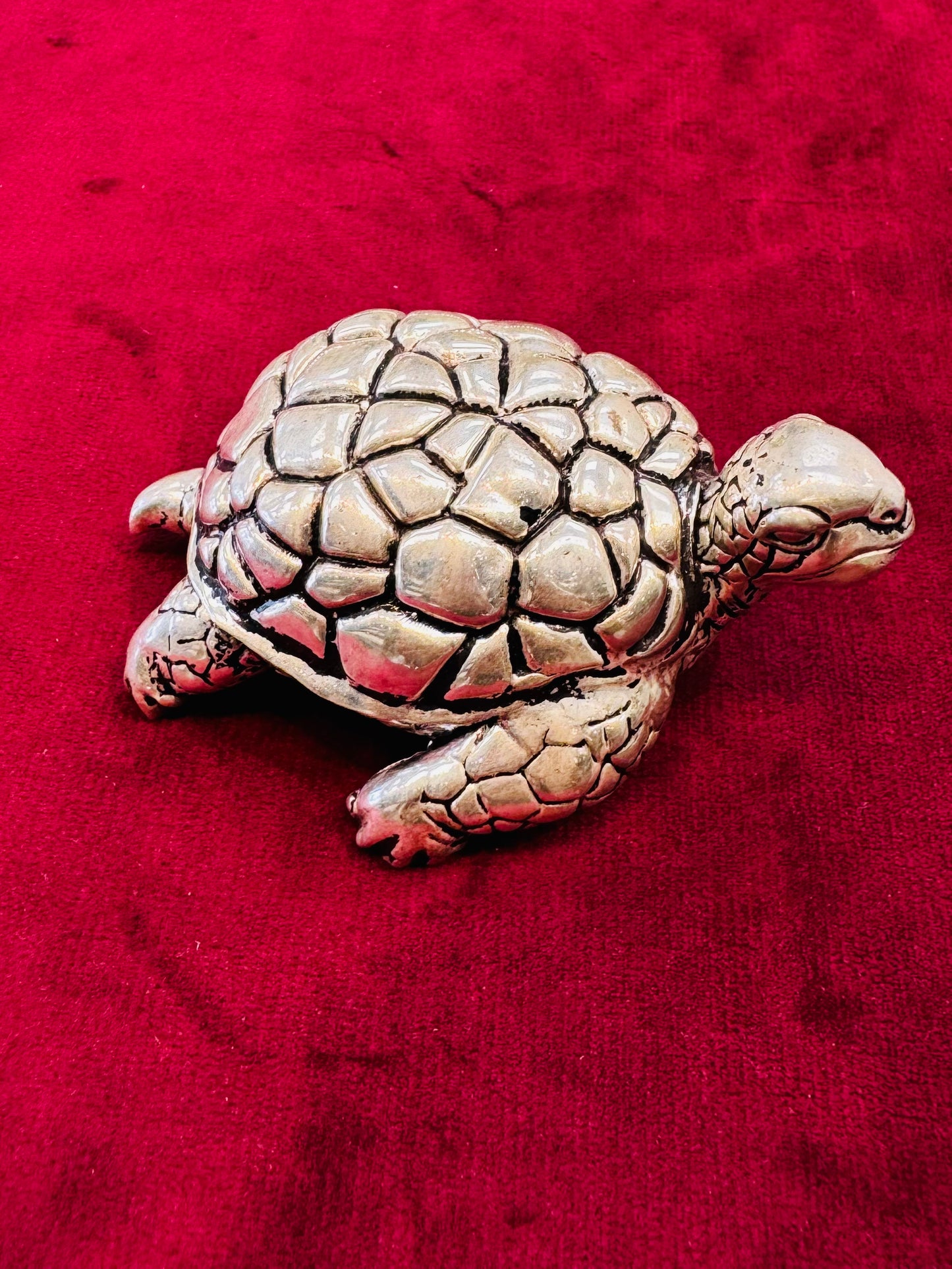 PURE SILVER TURTLE PI062
