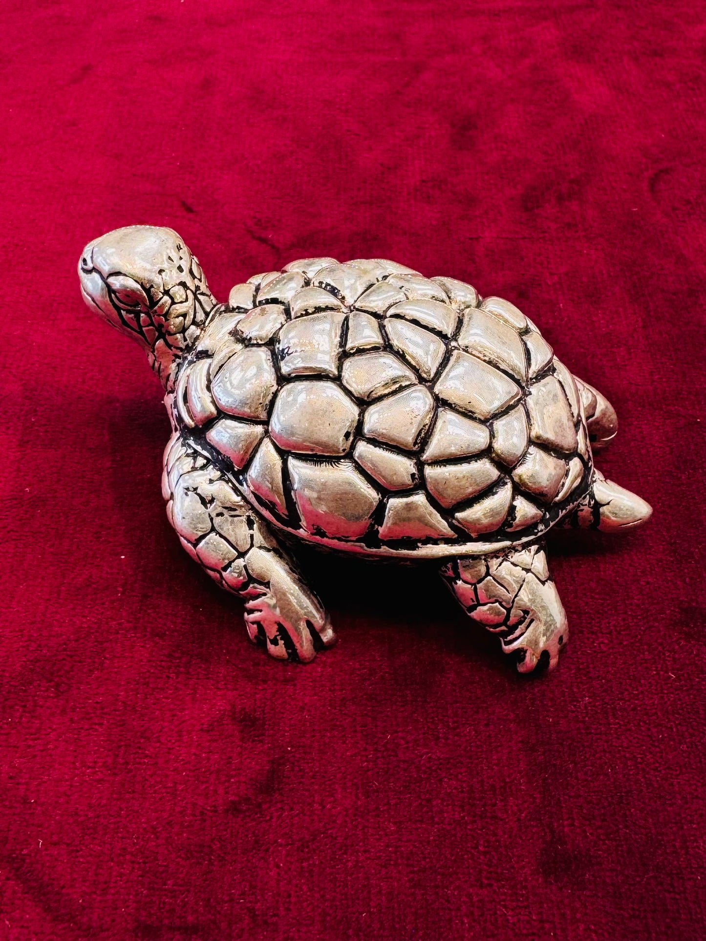 PURE SILVER TURTLE PI062