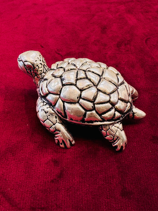 PURE SILVER TURTLE PI062