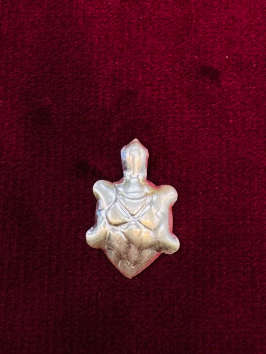 PURE SILVER TURTLE PI037
