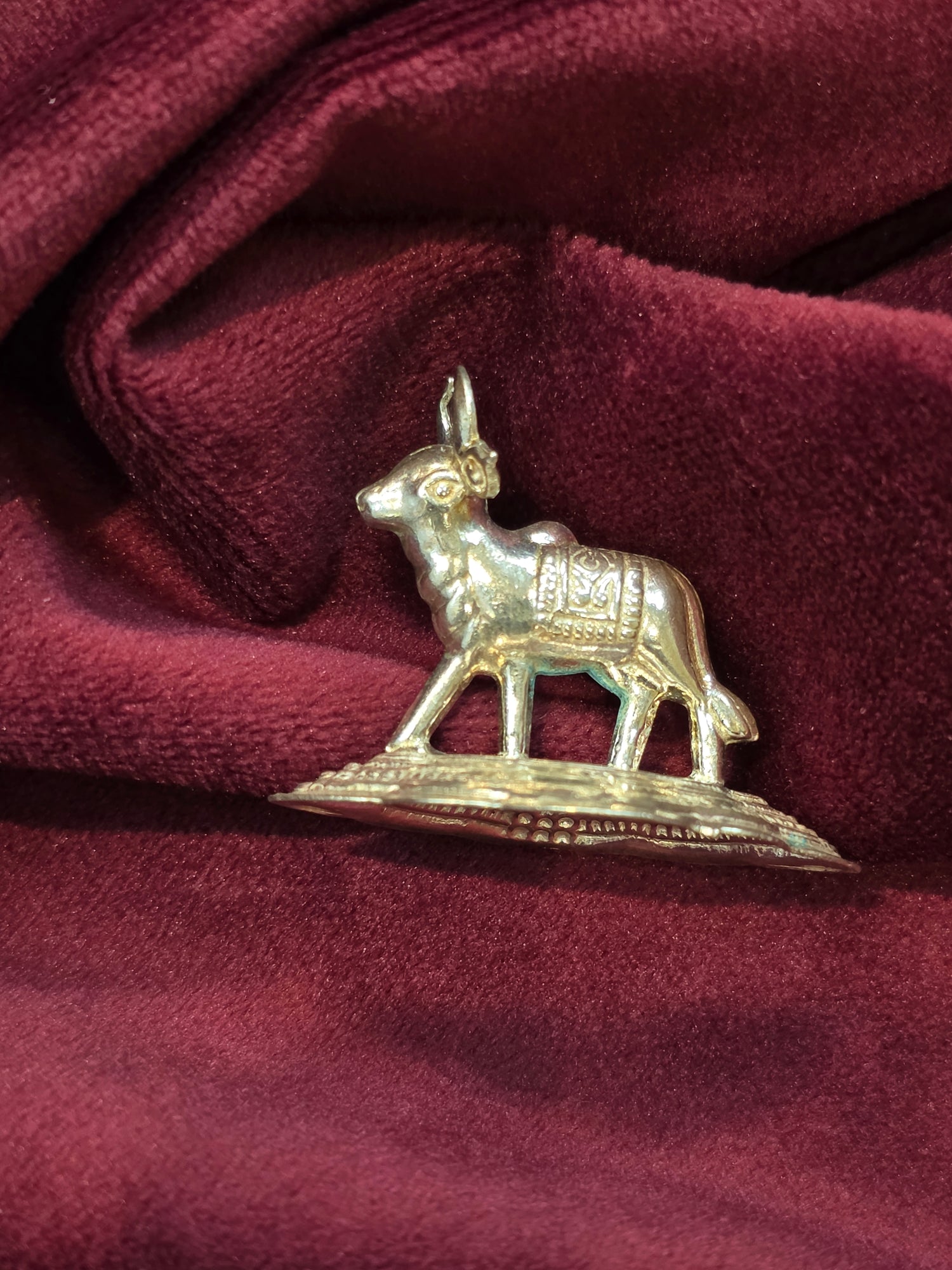 PURE SILVER COW AC079