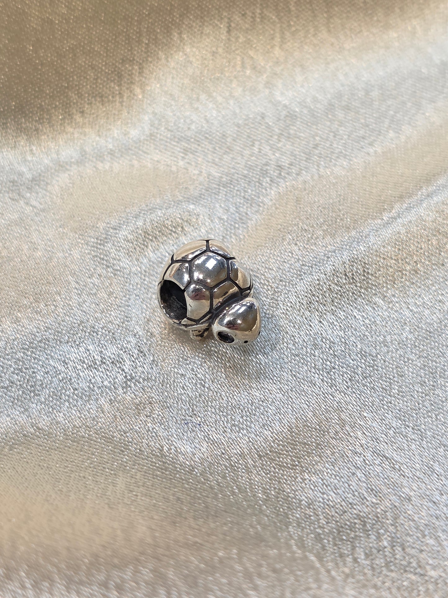 TURTLE PANDORA CHARM PC039